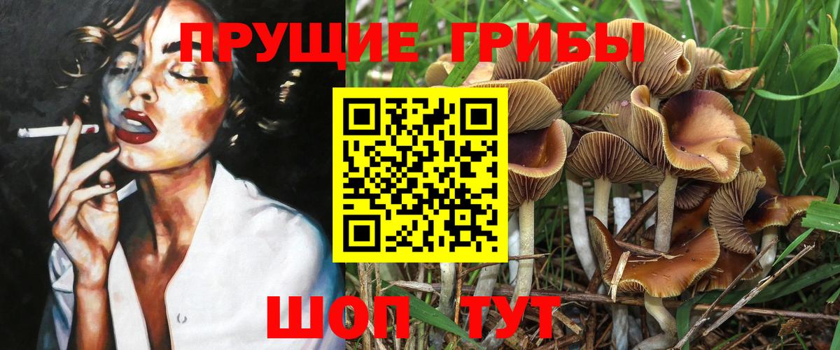 продажа наркотиков  Псилоцибиновые грибы GOLDEN TEACHER  Вход с VPN  Гулькевичи 