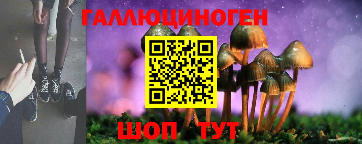 Псилоцибиновые грибы Psilocybine cubensis Гулькевичи